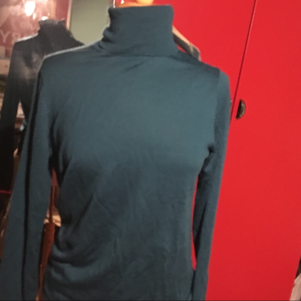 UNIQLO 100% Merino Wool Turtle Neck Teal/Green L